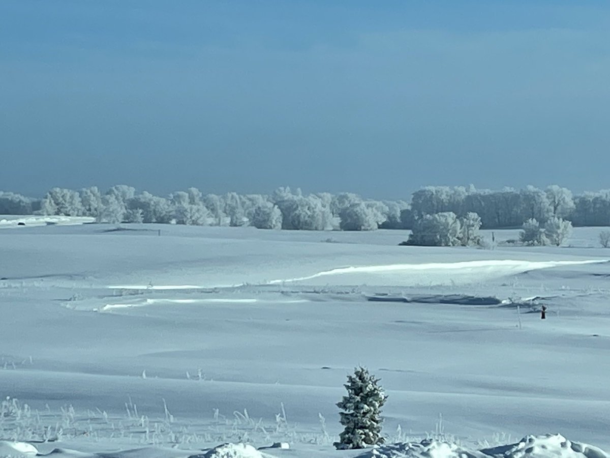 It’s beautiful on the prairie this morning! ❄️🌲 
⁦<a href="/ISD728/">ISD 728</a>⁩ ⁦@bittmand⁩ ⁦@WCampbell728⁩ ⁦<a href="/J_athman/">Julie Athman</a>⁩
