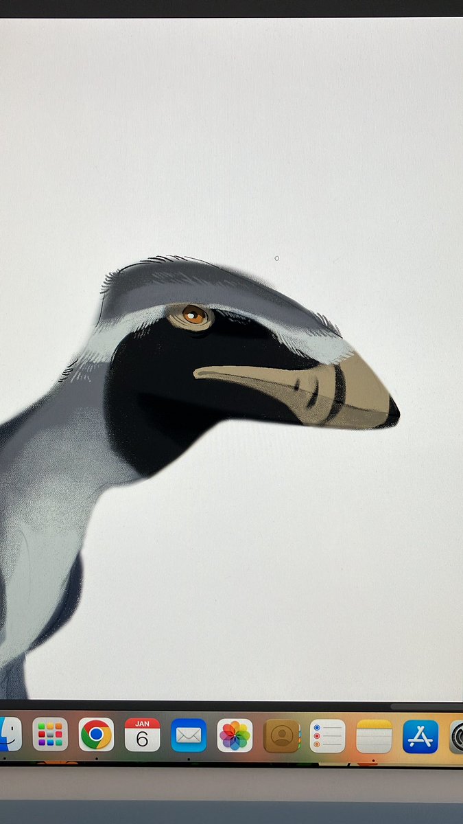 「reeeeeally like how this dimorphodon is 」|badgerbuck 🔜 furcationland ‘23のイラスト