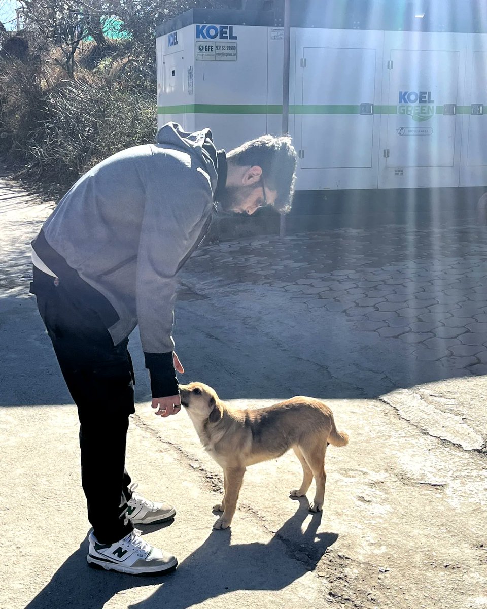 Ihatenumbers02's tweet photo. Manali never disappoints https://t.co/R28ZVeaxk9