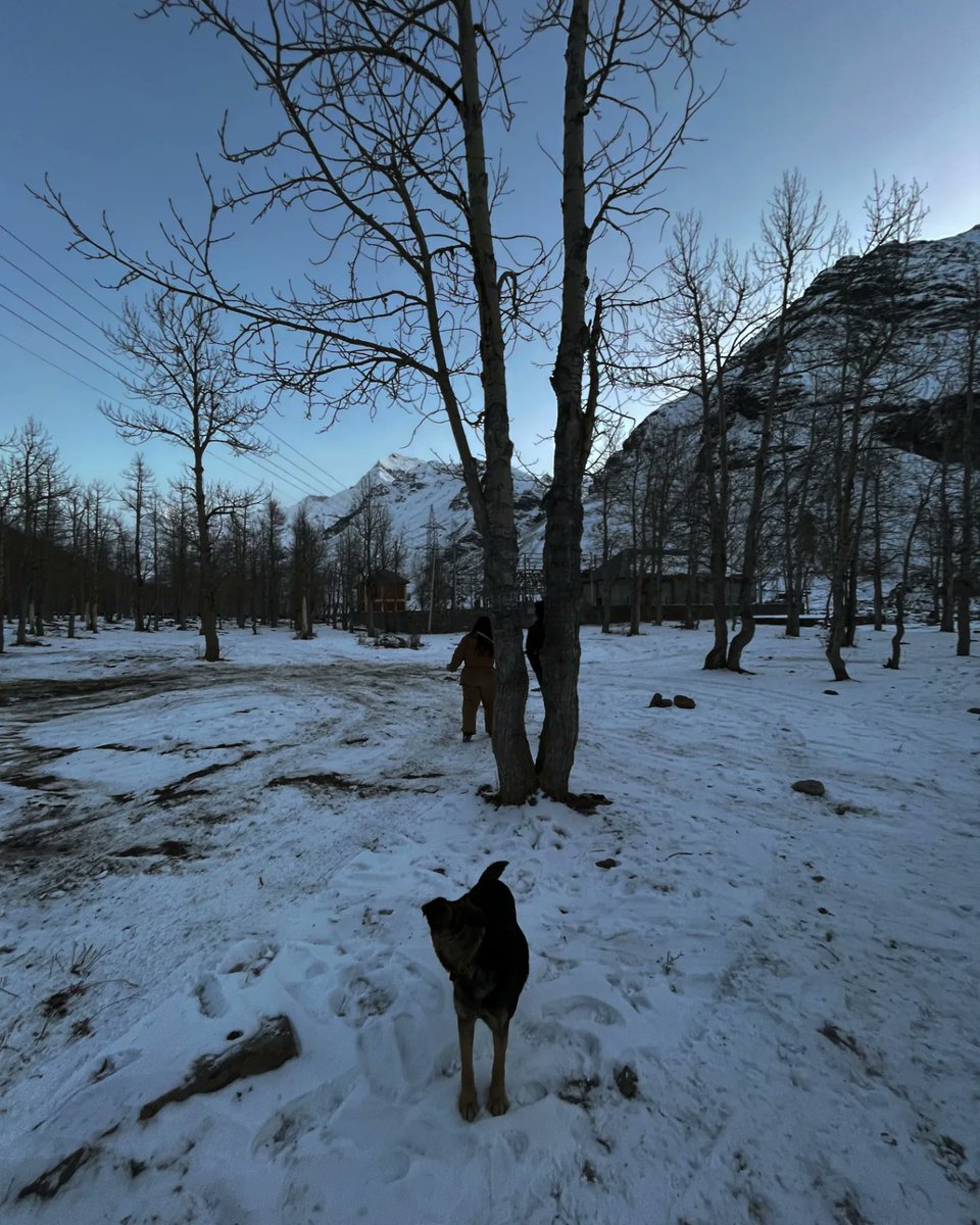 Ihatenumbers02's tweet photo. Manali never disappoints https://t.co/R28ZVeaxk9