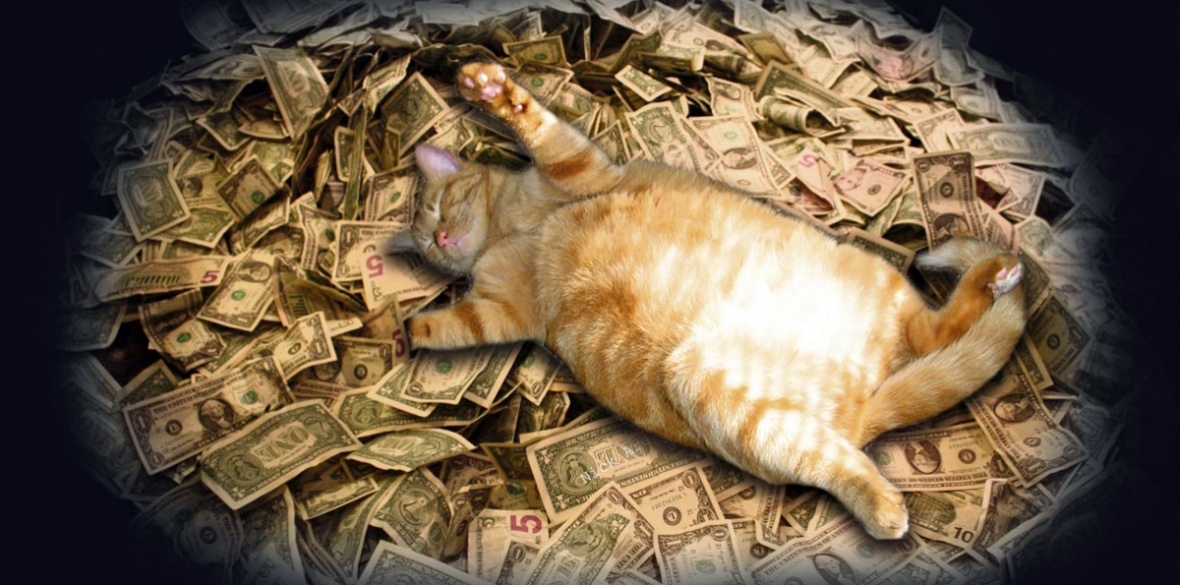 Vandaag is het Fat Cat Day #FatCatFriday. De dag dat de bazen al een minimumloon jaarsalaris binnen hebben. Waar jij en ik een jaar voor werken harken ze in luttele uren binnen. 
/1