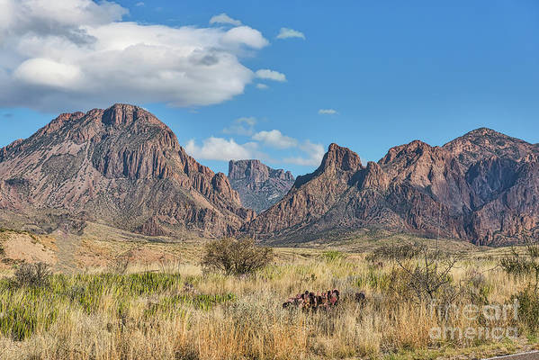 The Window View bit.ly/3VPlUpK @bigbendNPS @nytimestravel #BigBend #farwesttexas #mountains #chisobasin #desert #art #artist #photos #CasaGrande #photography #interiordesigner #interiordecor #BuyArtNotCandy #buyintoart #fineartforsale #interiorstyling