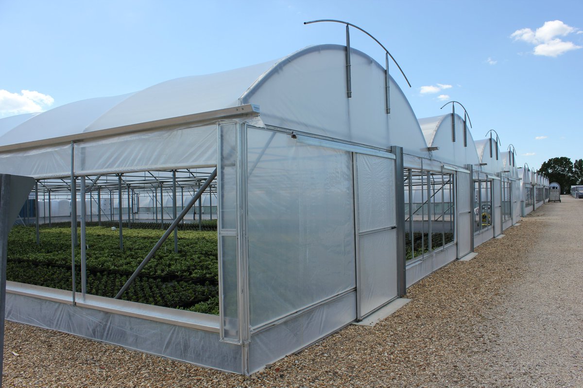 Our most commonly purchased #sheeting is the diffused; designed to evenly splay light across all #crops, enhancing the uv lighting to increase #growth, and with our #ventilation gives complete control back to the grower

#polytunnel #Horticulture 

polyhouses.com