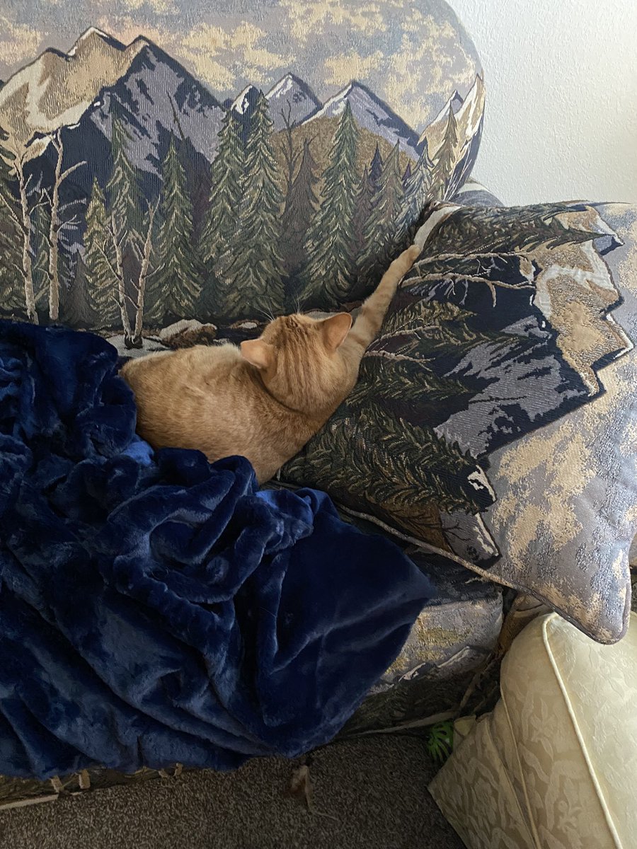 Grumpy Plum tweet media