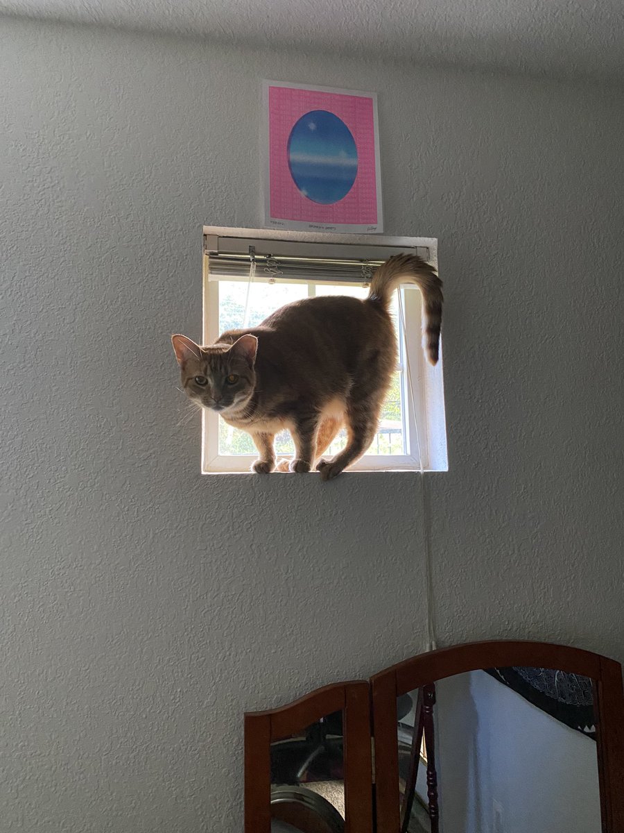 Grumpy Plum tweet media