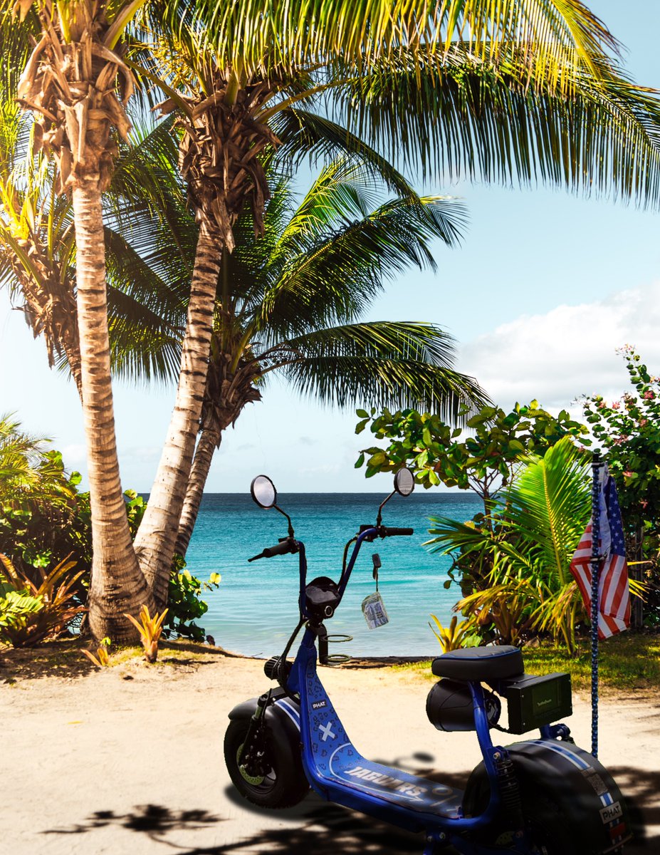 Riding this beauty down the beach like a boss. Ain't no sand too rough for these fat tires!

#phatrides #electricscooter #ebike #ebikelife #electricride #rideelectric #twowheeler #twowheels #custombike #customride #fattire #travel #bike #bikelife #bikelover #bicyclelife #explore