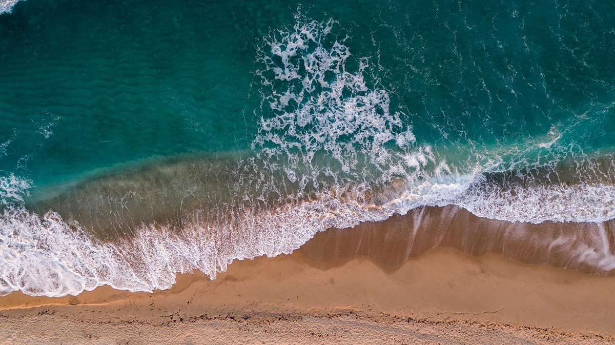 Lafitte Advisors tweet media