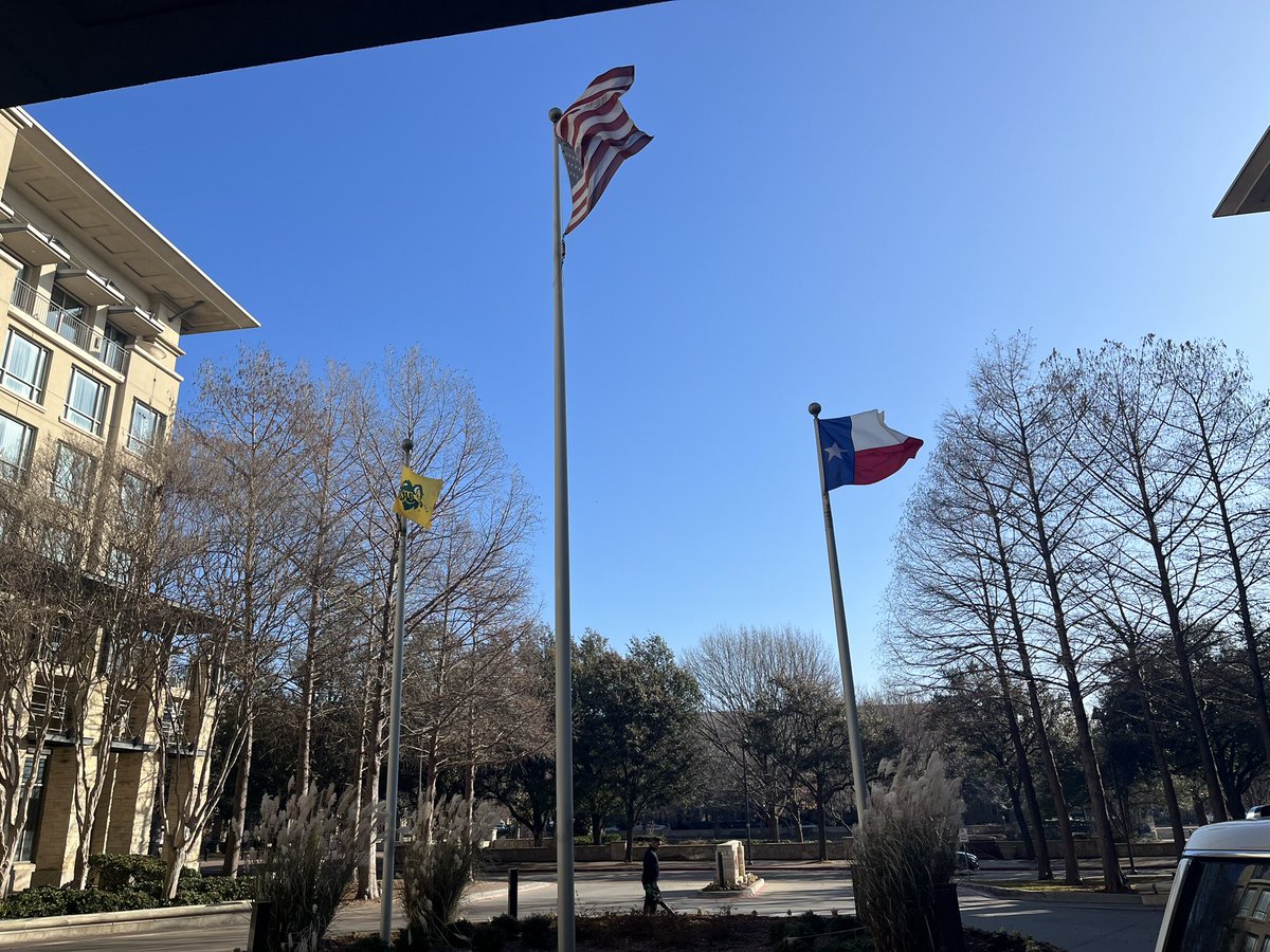 Walked out of the hotel this morning in Frisco to see them flying Bison colors. Go Bison! 🤘🏻🦬💛