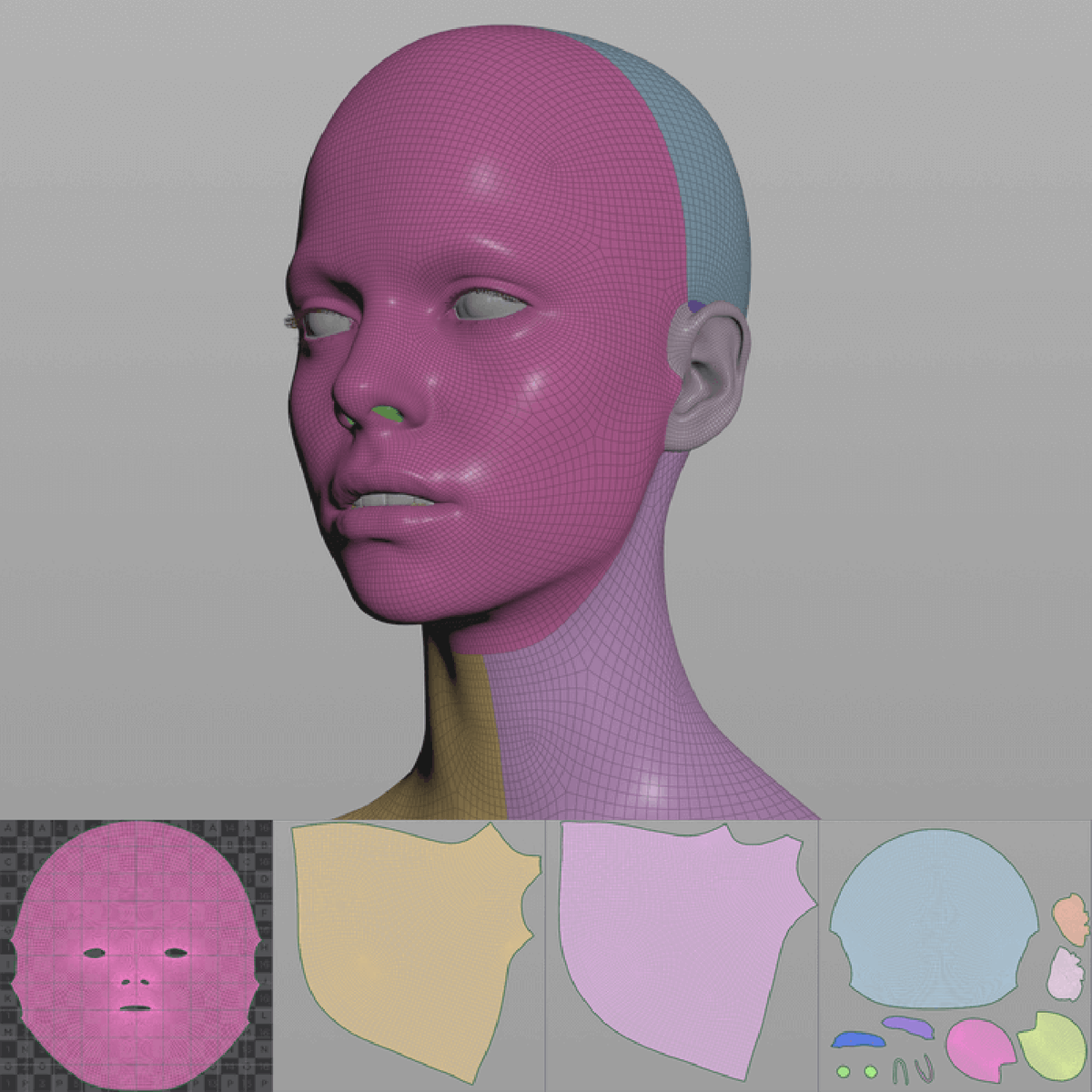 A4Sculptors's tweet photo. Read our latest blog on creating a realistic human 3D model! Our senior 3D artist Jēkabs Jaunarājs shares his methods for authoring skin textures: https://t.co/U4O9QamTCt

Check out other blogs in the series to learn about creating eyes, hair, and teeth. #anatomy4sculptors https://t.co/AikvlmEmXy