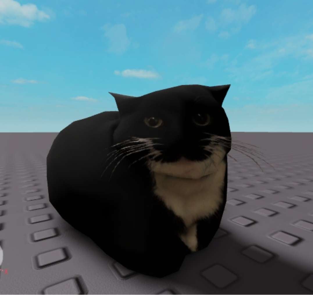 Runespoor05's tweet photo. @bunxviii https://t.co/ygqsHPcenV