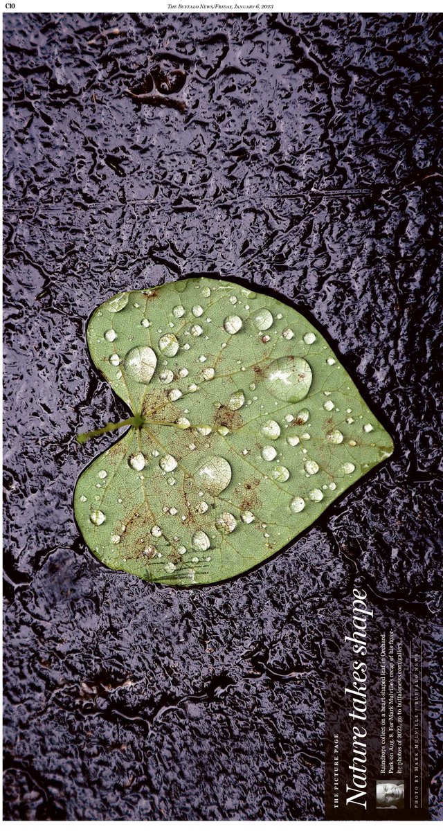 As some of you may know, I decided to leave the Buffalo News after almost 30 years. I learned a lot in that time and worked with very talented and amazing folks. WNY is truly a special place in this world and it was my pleasure to try and show it to you through my lens.