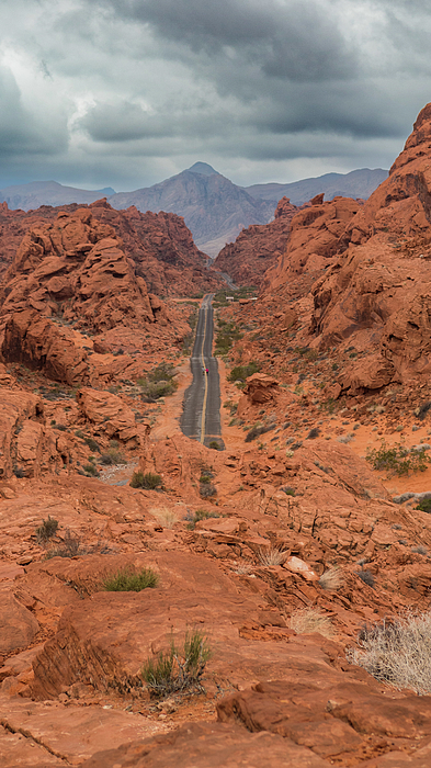 Fletcher Aerial Solutions tweet media