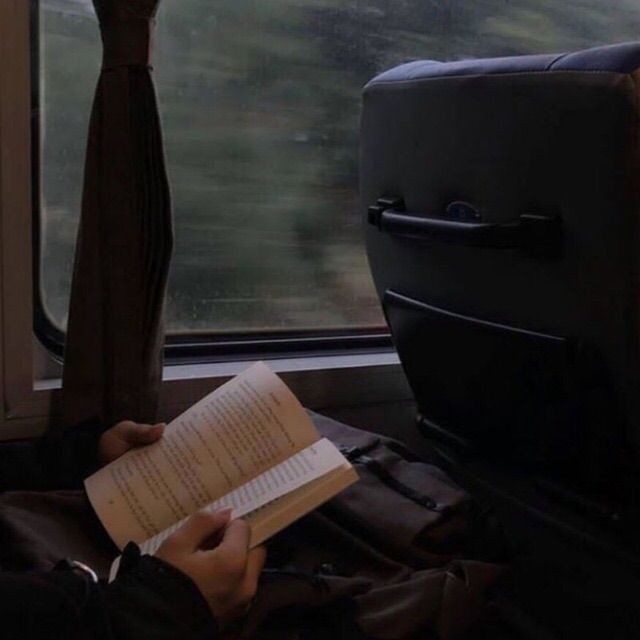 elliearchr's tweet image. ↳ livros lidos em 2023
 ͏ ͏ ͏ ͏ ͏ ͏ ͏ ͏ ͏ ͏ ͏ ͏   📖🖤 — a thread —