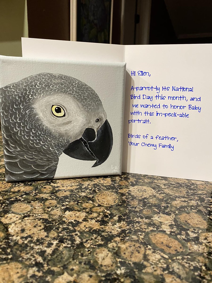 We received this from @Chewy.  What a nice unexpected gift!  #africangrey