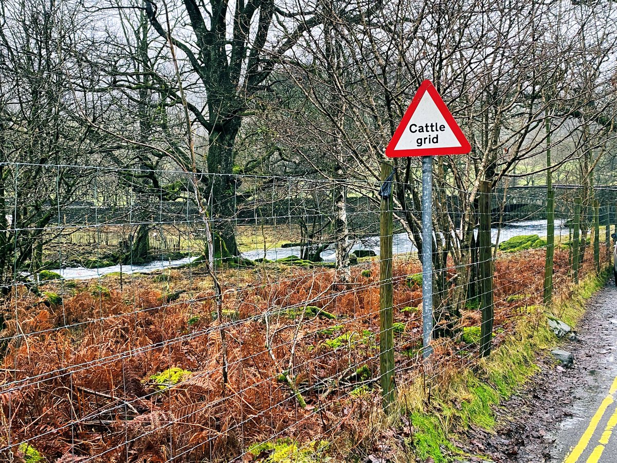 UK Traffic Signs on Twitter "Good to be back in Ambleside this week