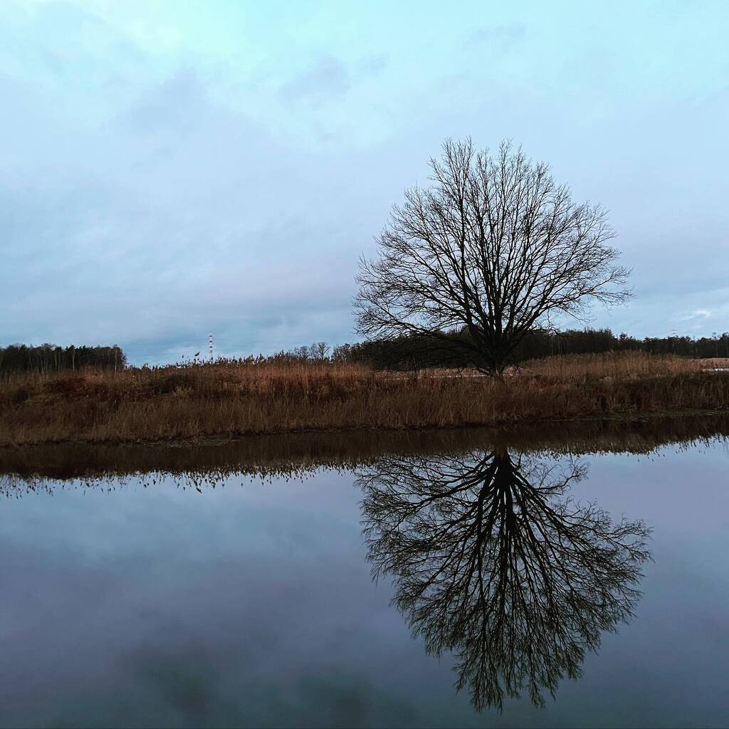 Lipkens's tweet photo. Onze voortuin blijft elke keer weer prachtig 😊 
@limburgbe @visitlimburg @belgischlimburg 
#nature #naturelovers #limburg #visitlimburg #platwijers #platwijerszonhoven #platwijers❤❤❤❤ #zonhoven #natuur #natuurpunt #schoonsteprovincie https://t.co/3SQf46MMsC https://t.co/IW4kf9OeZV