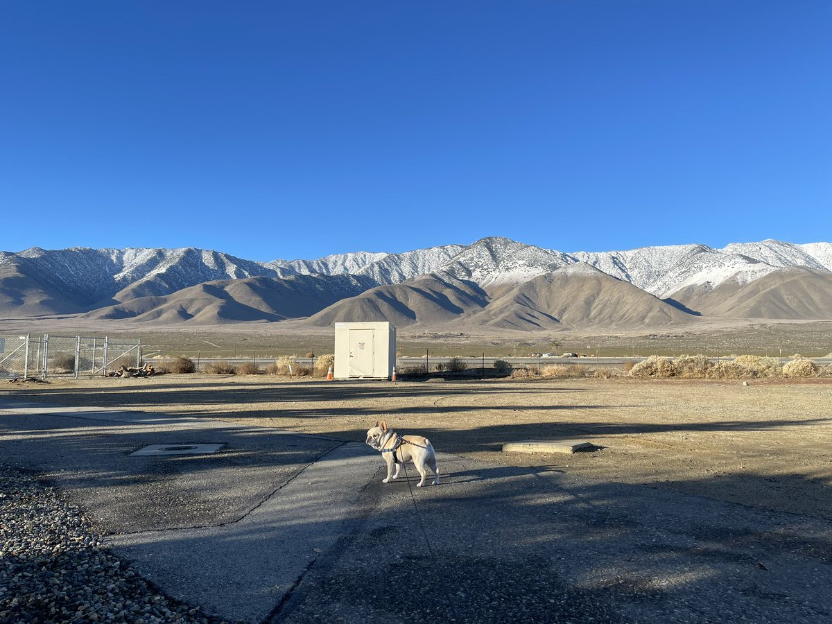 Manny (@mannywedges) on Twitter photo 