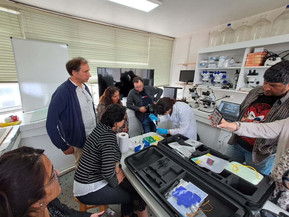MACH_Noticias's tweet photo. Ayer por la mañana (05.01.2023) realizamos la demostración del funcionamiento de la Maleta-Laboratorio a miembros colaboradores del proyecto; @SubpescaCL, @sernapesca y @ministeriosalud en instalaciones de la @uvalpochile en Viña del Mar (Montemar). @crean_ifop @ifop_periodista https://t.co/xgpkkVYB1Z