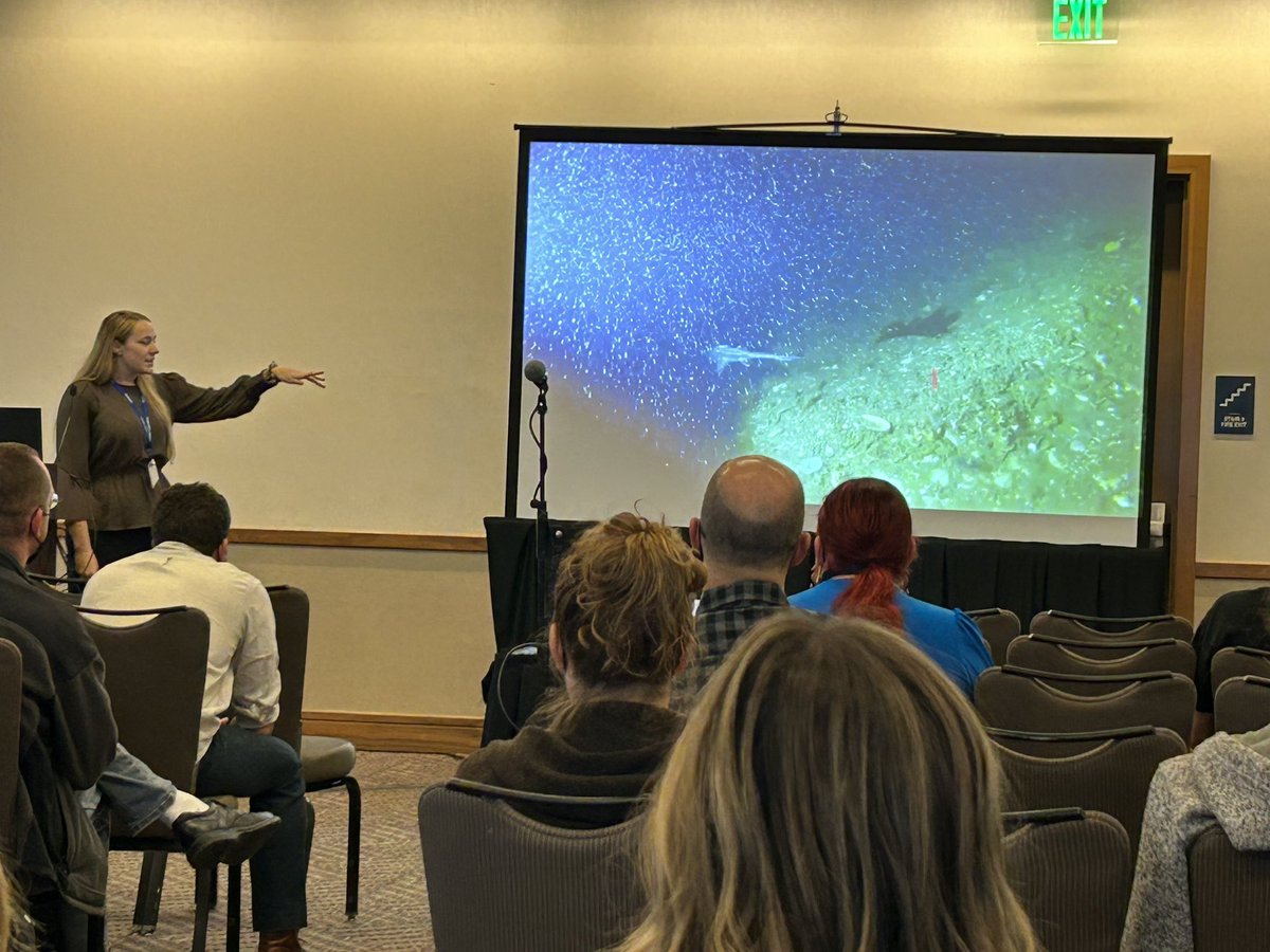 Flappy, flouncy, fabulous fish fins- alliterations and kinematic analyses were on point in <a href="/KseaHall/">Dr. Kayla C. Hall</a>’s #SICB2023 talk. 

She quantified the movements of chimaera pectoral and pelvic fins in both fast and slow moving water.