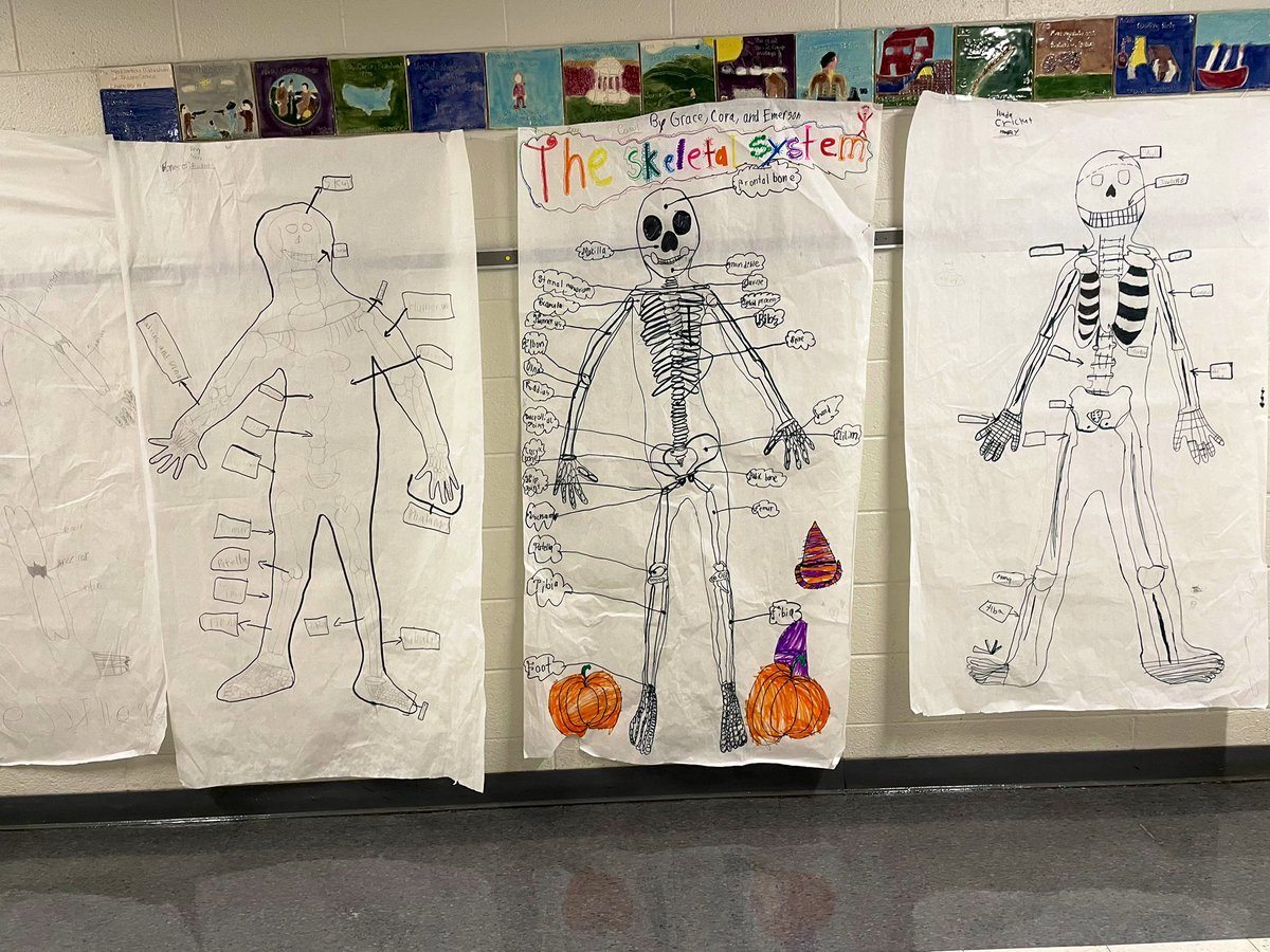 MsMears3's tweet photo. RIP to our quarter 2 skeleton friends 💀☠️ @PtownElem https://t.co/Vb6a6w9IYX
