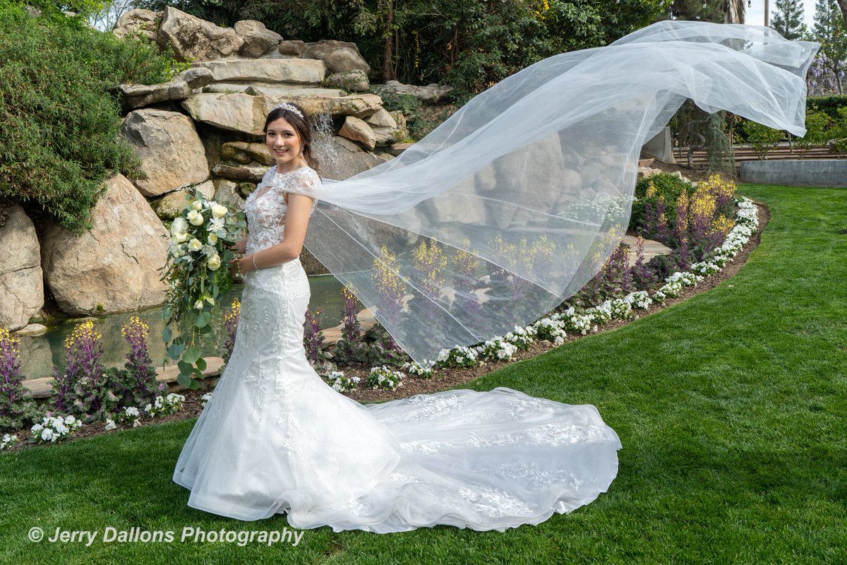 Jerry Dallons Wedding Photography and Videography tweet media