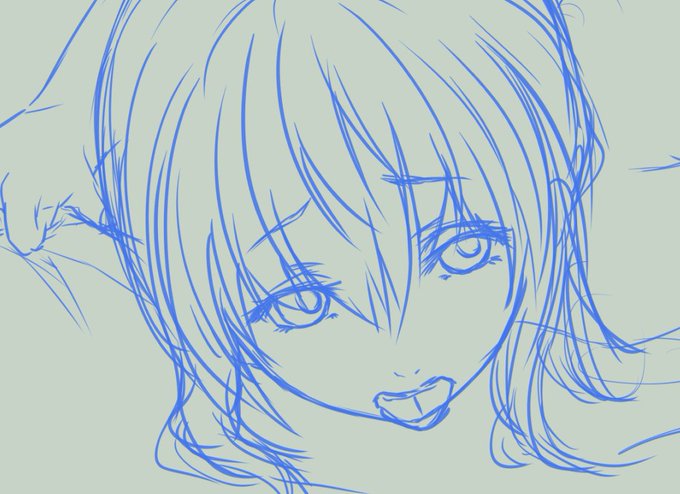 何でか浮かんだのでラフ描きなぐってた
来週のすけべに間に合わすか、ヨシ 