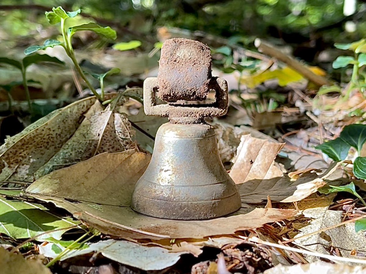 StealthDiggers's tweet photo. Figured we would swing the detectors out a bit into the woods behind this old site and bam ! First signal a great find .
#metaldetecting #notthursday
https://t.co/bCrboDoIlM https://t.co/1PqpJ6lVVc