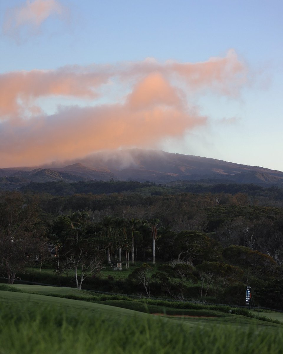 GolfatKapalua's tweet image. Day 2 🤙.

#SentryTOC