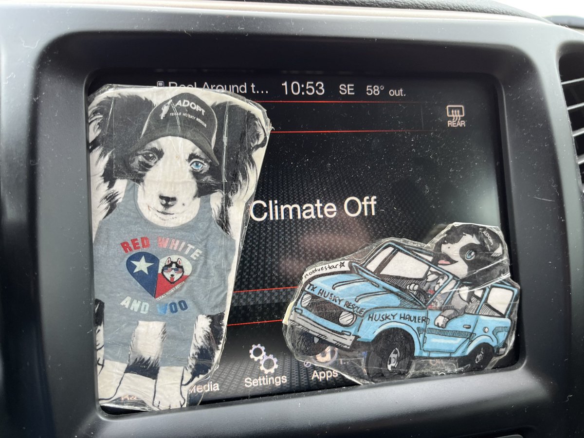 Lj_e4l's tweet photo. On a rescue run today-picking up a momma & her 1 week old babies. Thank goodness we have a foster or we wouldn’t have been able to save them. Can’t post a pic cuz they aren’t public yet. #AdoptDontShop @KateDrummond_ #flatbernie https://t.co/LwWVBdfpqD