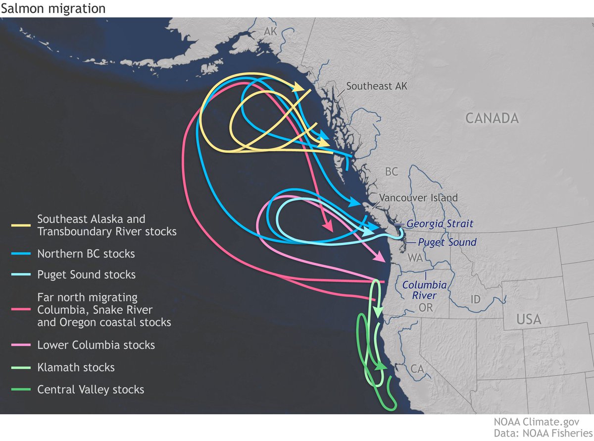 NOAA Climate.gov tweet media