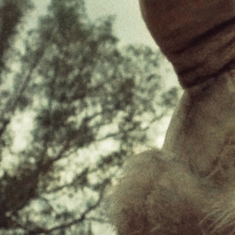 LAReview's tweet photo. “The breeze jangled the windchimes. Luther sat perfectly motionless, like even the squirmy wormies in his tummy had frozen solid.”

“The Bunnyman” by Melinda Scully is up on the site now:
https://t.co/5d0NSV6J32

#LARflash
@melindascully https://t.co/9QH0O7Umi3