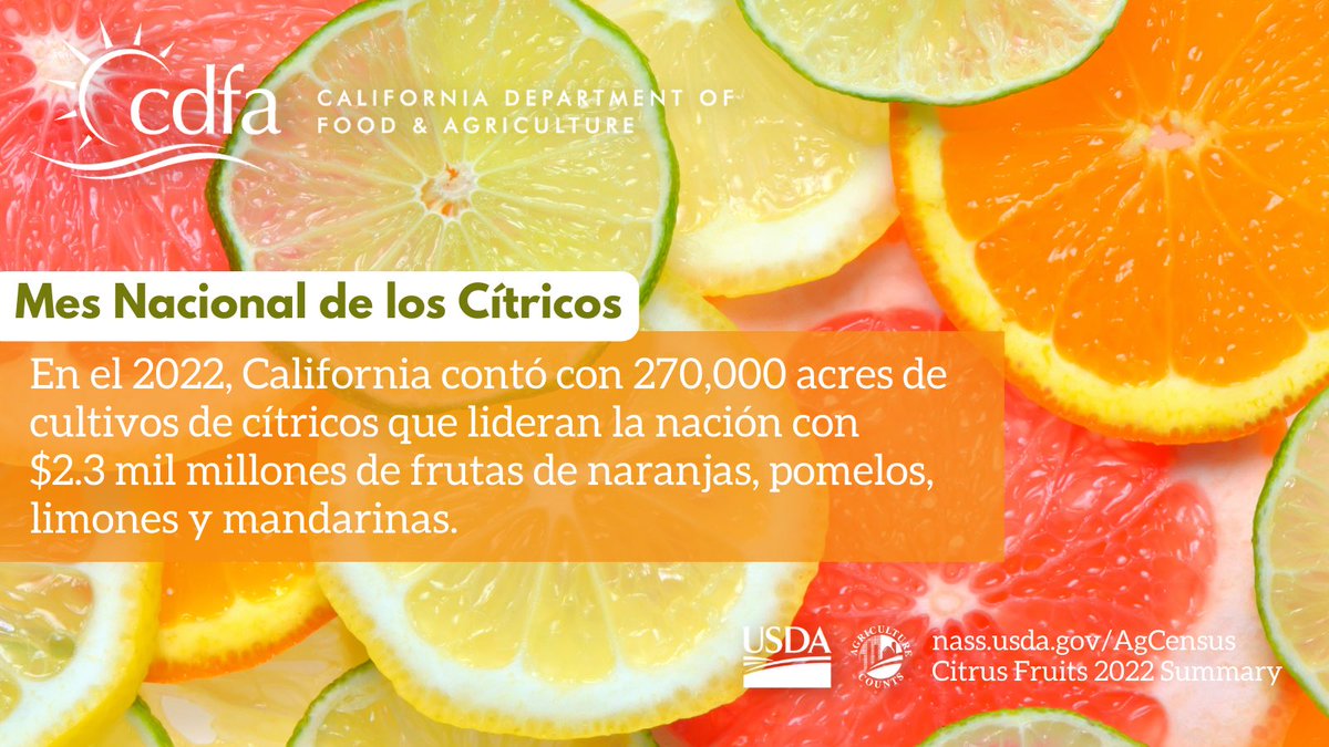 CDFAnoticias's tweet photo. Es el Mes Nacional de los Cítricos! California es un líder internacional en la producción de cítricos. 
.
.
.
#citricos #naranjas #limones #toronjas #limas #mandarinas https://t.co/pwDpTr6DWa