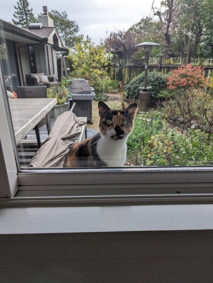 Julianna Hayes tweet media