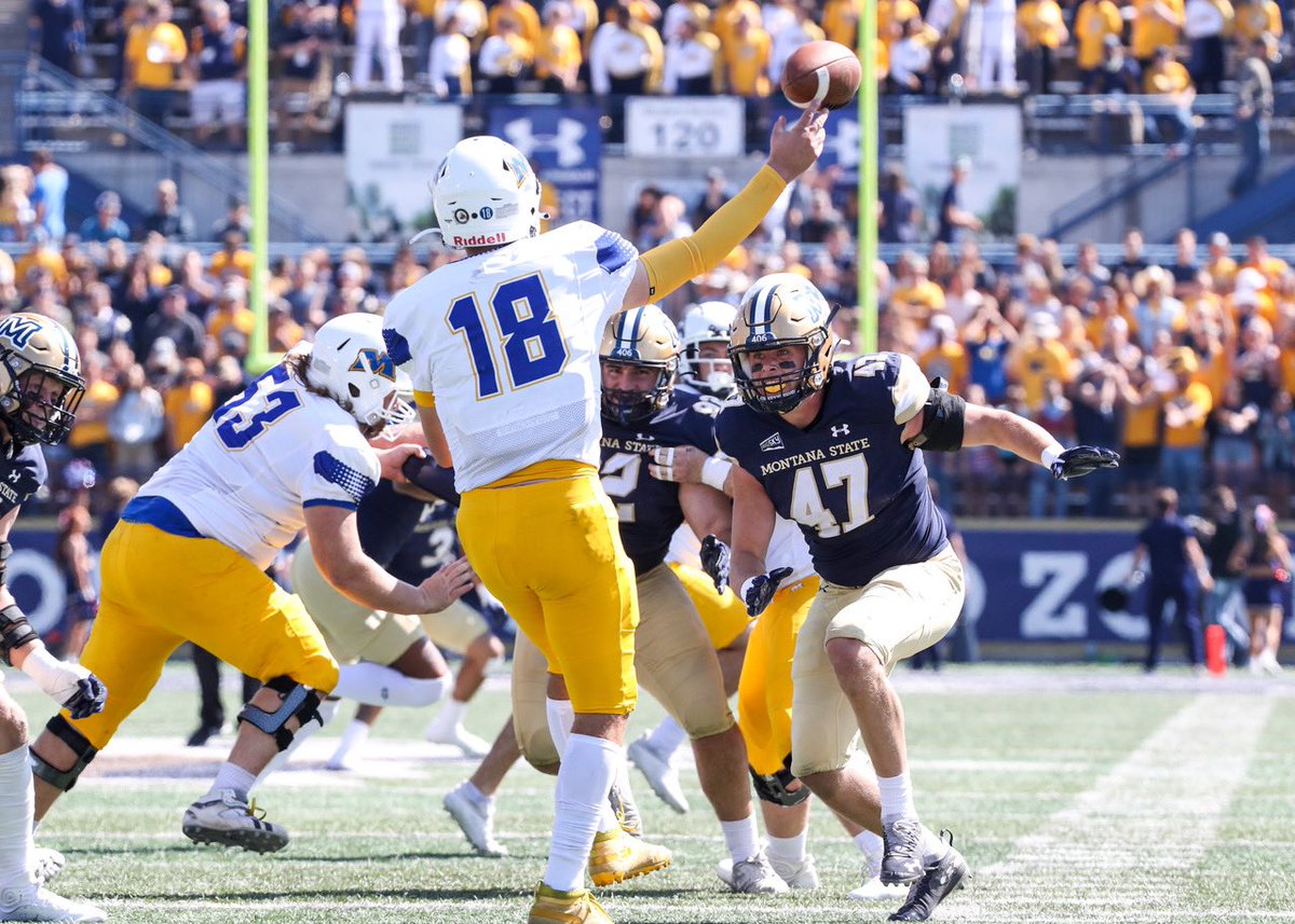 Peyton Pelletier tweet media