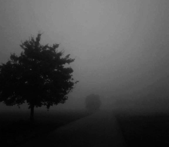 İkna edilmişlerle yola çıkılmaz.
Yola inanmışlarla çıkılır.

İsmet Özel
.