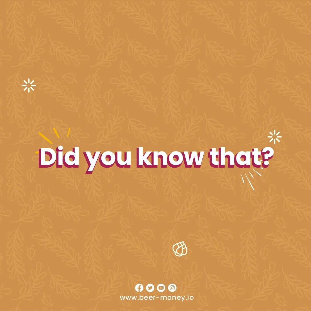 Beer Money tweet media
