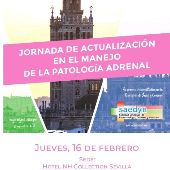 Congreso Saedyn2023 tweet media