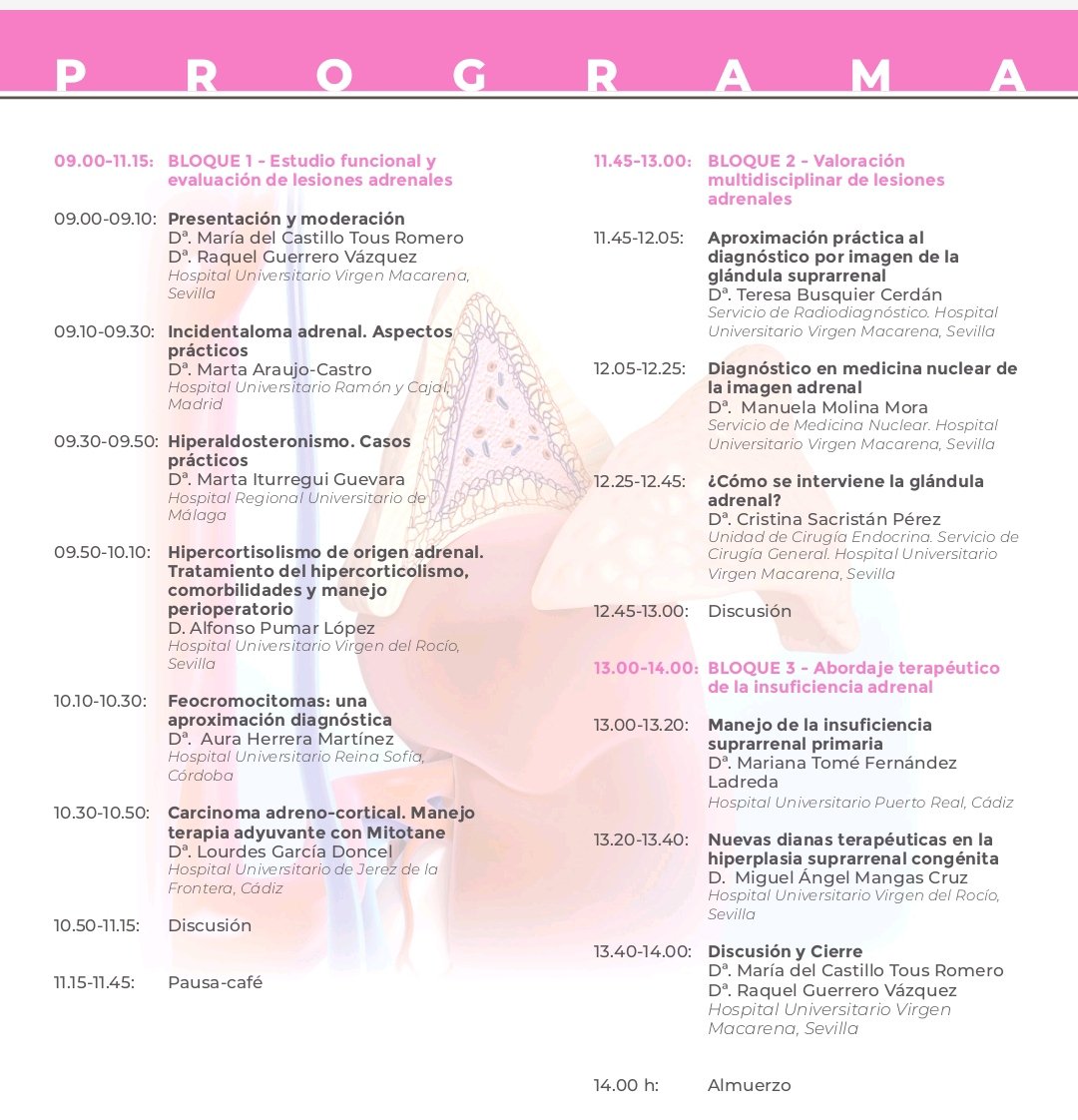 Congreso Saedyn2023 tweet media