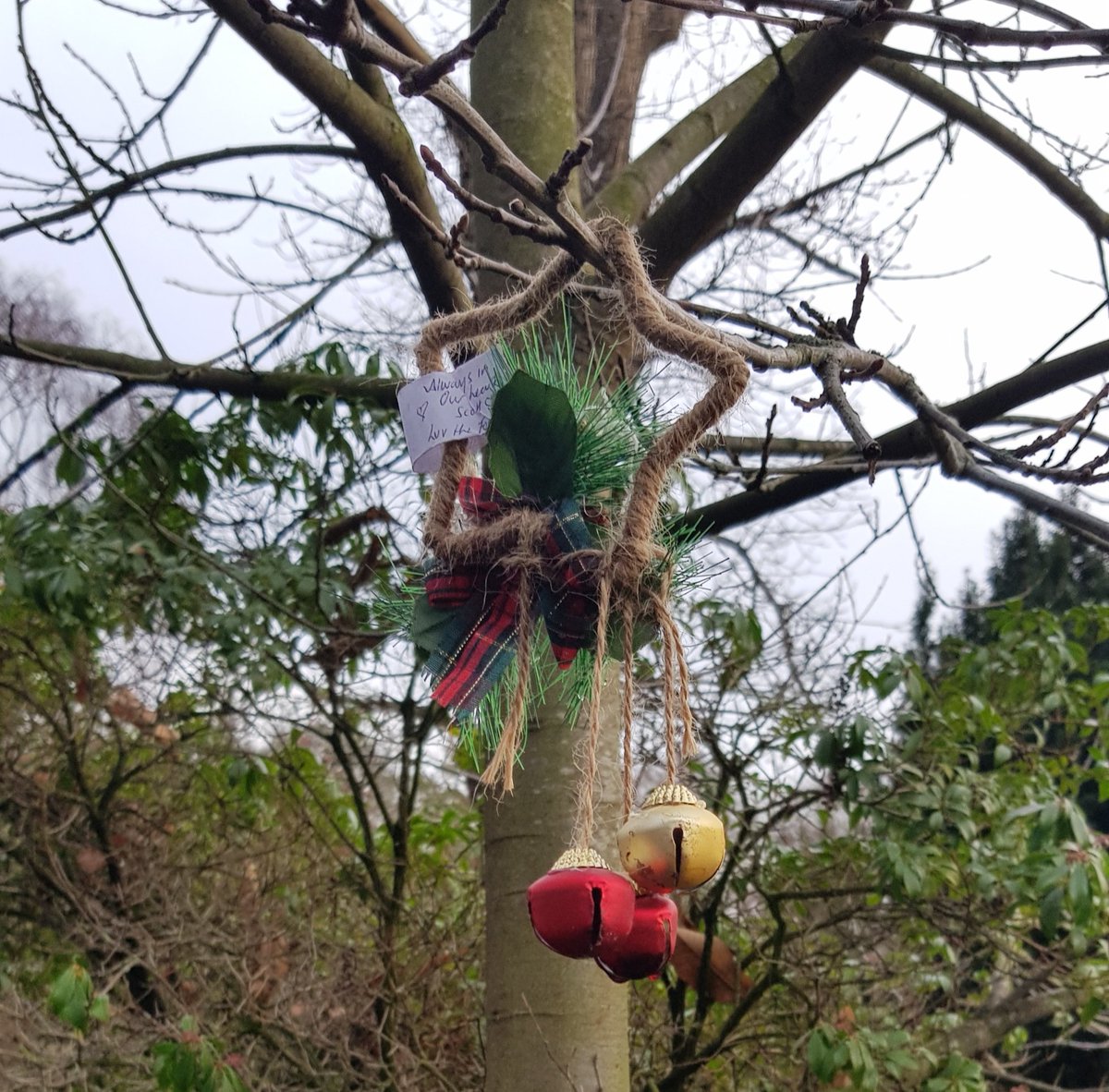 BBullrushes's tweet photo. Bit of tree pruning today to remove footpath obstruction before the birds nest. Then filled a bag on our #litterpick with vodka bottles, huge bow, towel, #glove Christmas star & metal hook. #Derby #clearfootpaths @LitterReporting @oplitterridder #adoptastreet @KeepBritainTidy https://t.co/1zfvtARdn6