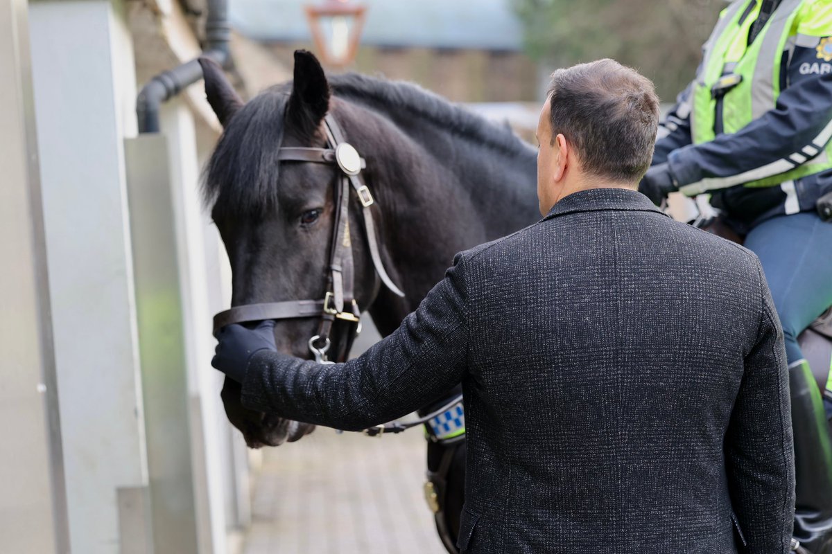 Leo Varadkar on Twitter "Great visit with the Garda Mounted Unit in Phoenix Park today. Thank