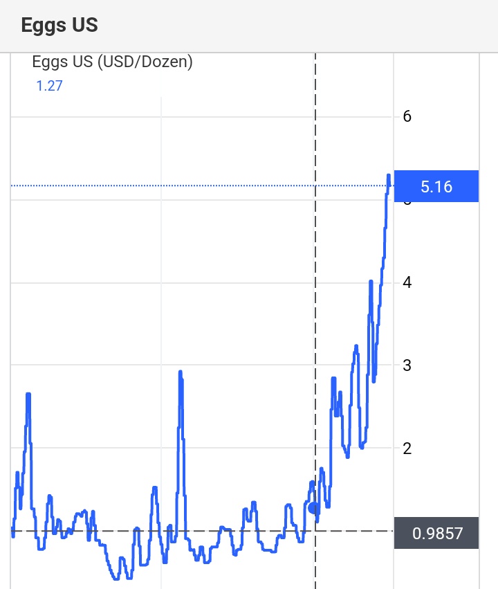 if you bought $200K worth of eggs 1 year ago and held until now, you would be a millionaire