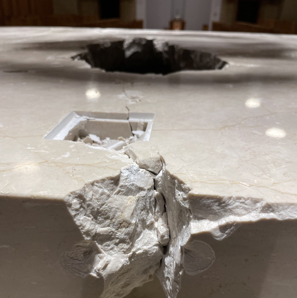 American Life League tweet media