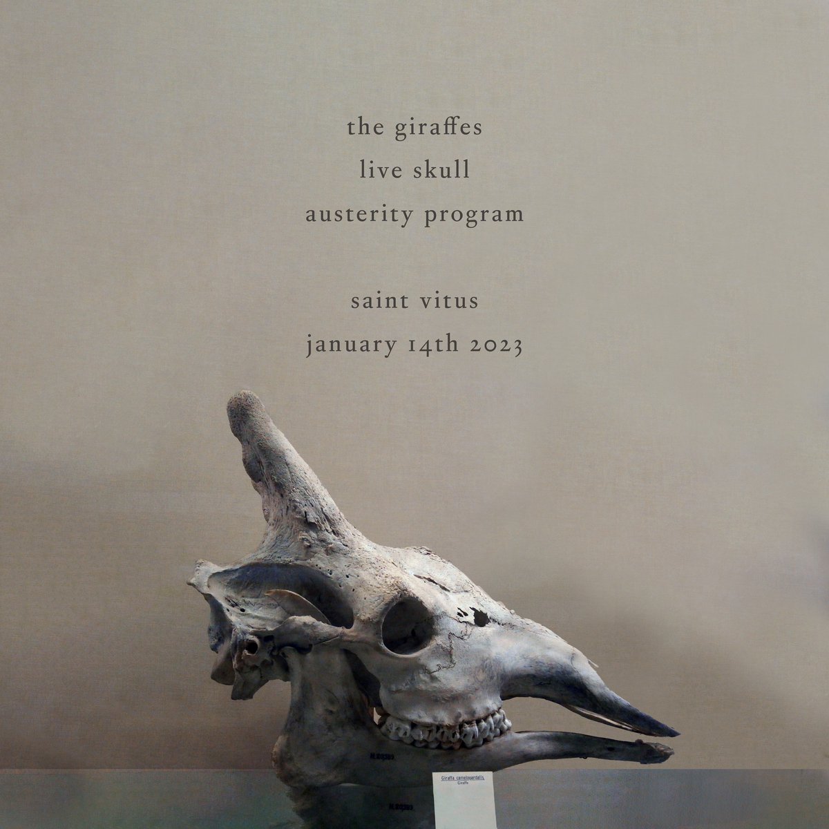 usterityprogram's tweet image. Next Saturday (1/14) we play a one-off show at @saintvitusbar with @thegiraffes and Live Skull. Doors at 7, we play first. 

If you are more visual than textual, this flyer should help.