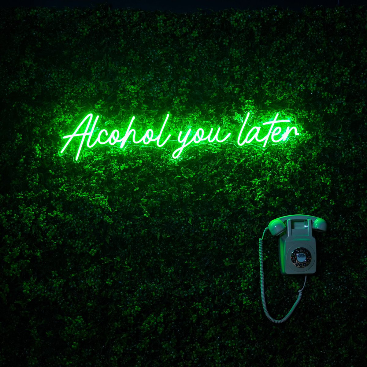 Hotel 1843 x Calico Bar & Eatery tweet media