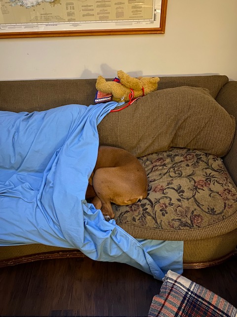 "Please turn off this McCarthy mess.
Isn't there anything else on?"
- Bentley