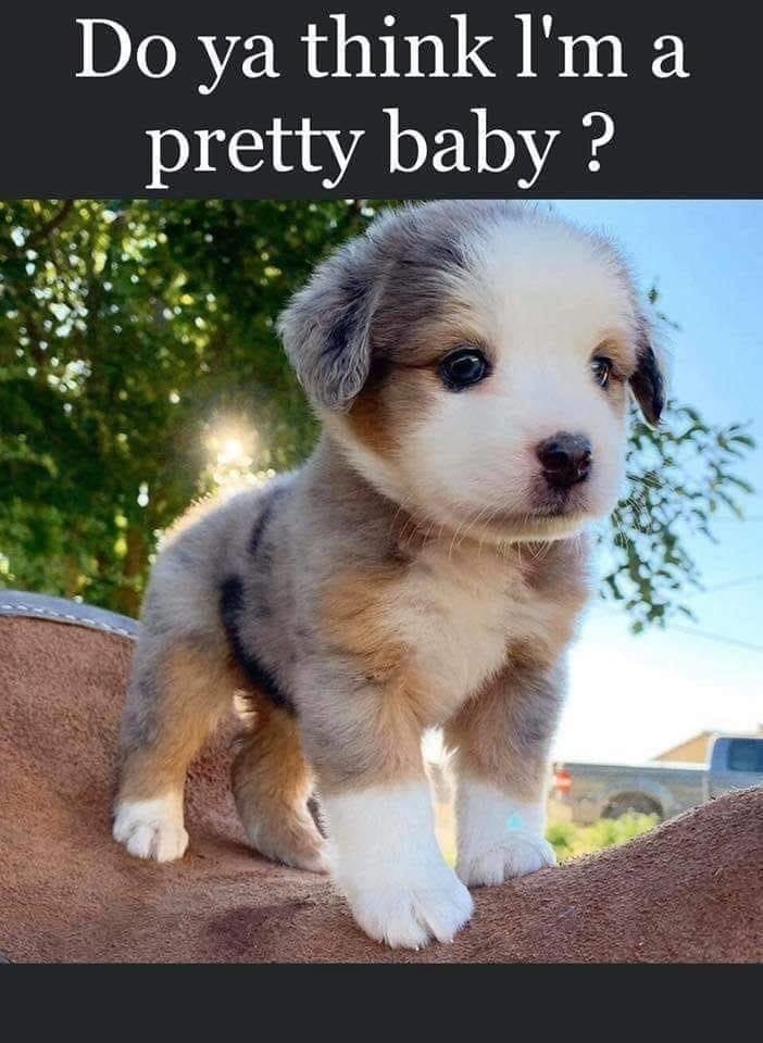 🥹❤️😍