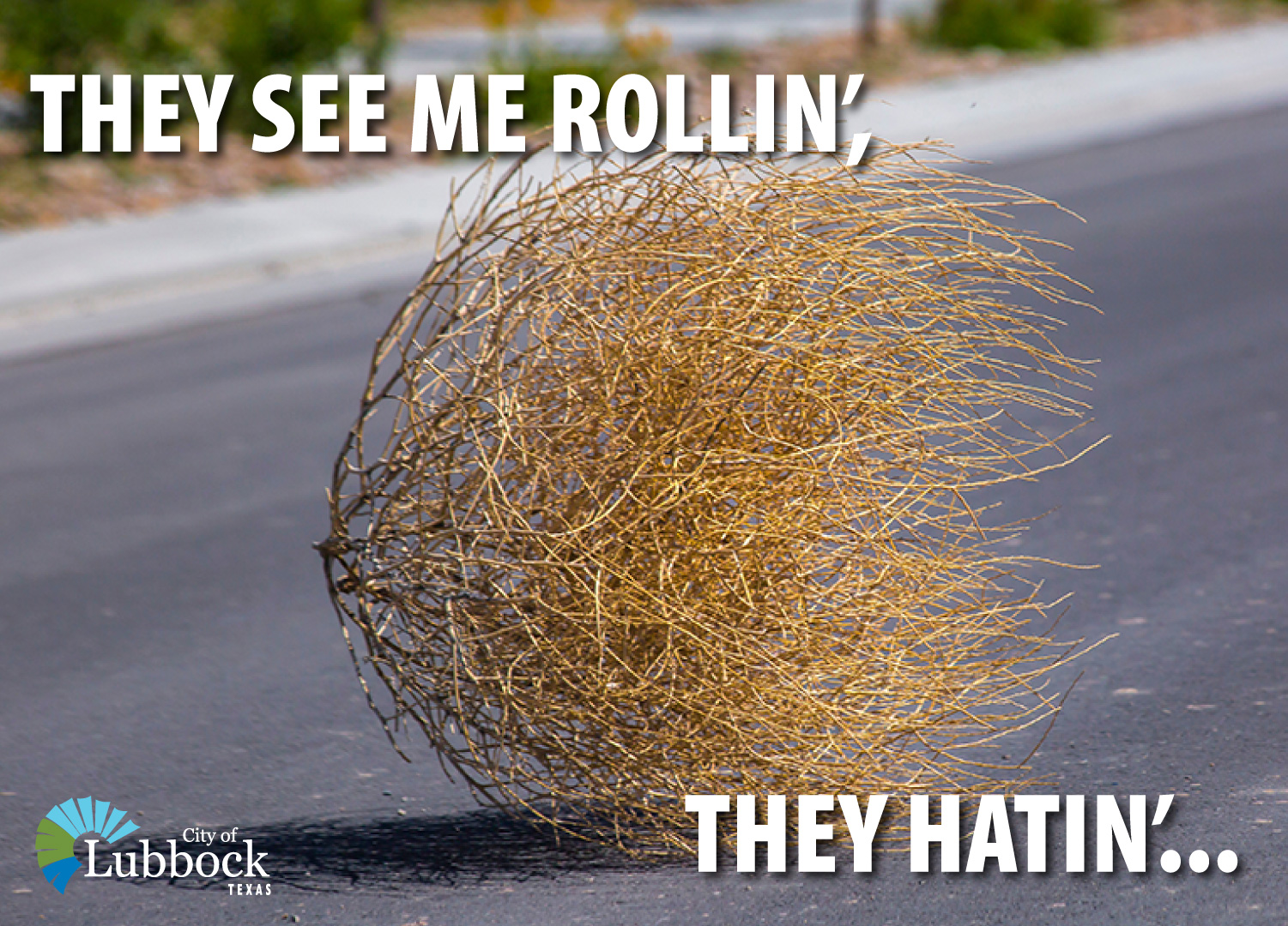 City of Lubbock on Twitter "Hatin' these hanging around? The City has