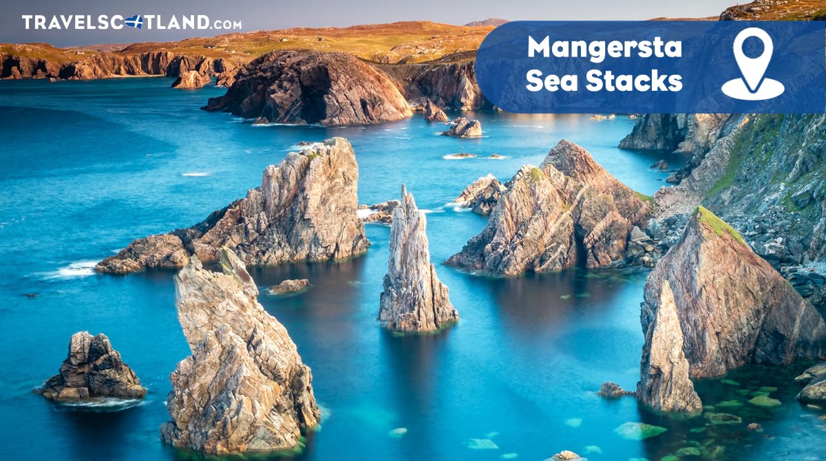 Travel Scotland tweet media