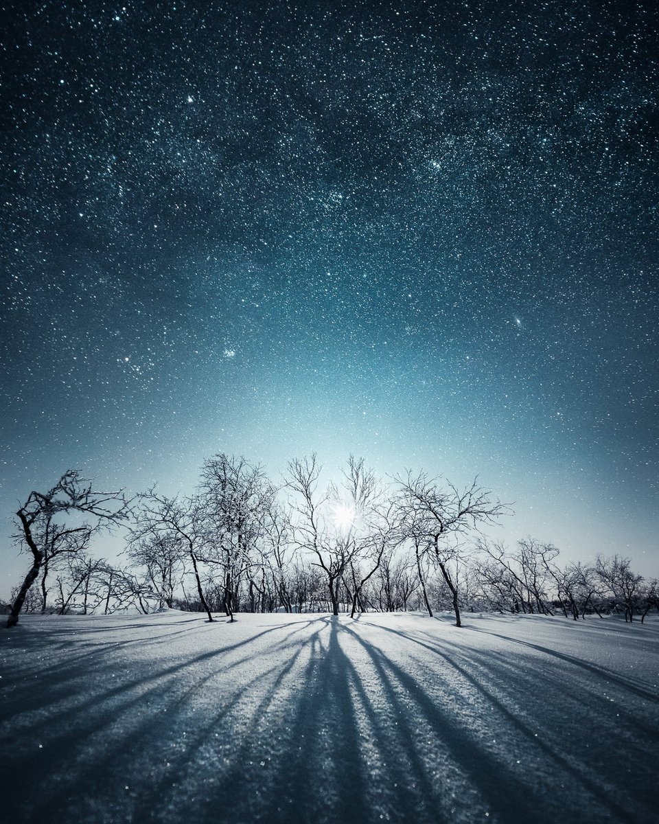 MikkoLagerstedt's tweet photo. A cold night under the moonlight https://t.co/II6n0uvoBb
