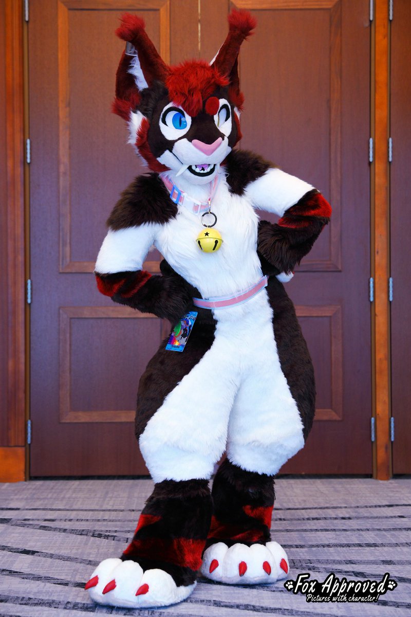 Scout_Monster's tweet image. Gotta post my first #FursuitFriday of 2023!!! 

📸 @FoxApproved 
🏠#pdfc #pdfc2023 @PaintedDesertFC